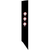 Sash AASR 10°