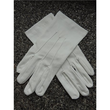 Witte handschoenen - Regalia