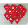 Band AASR 14° COD set 11