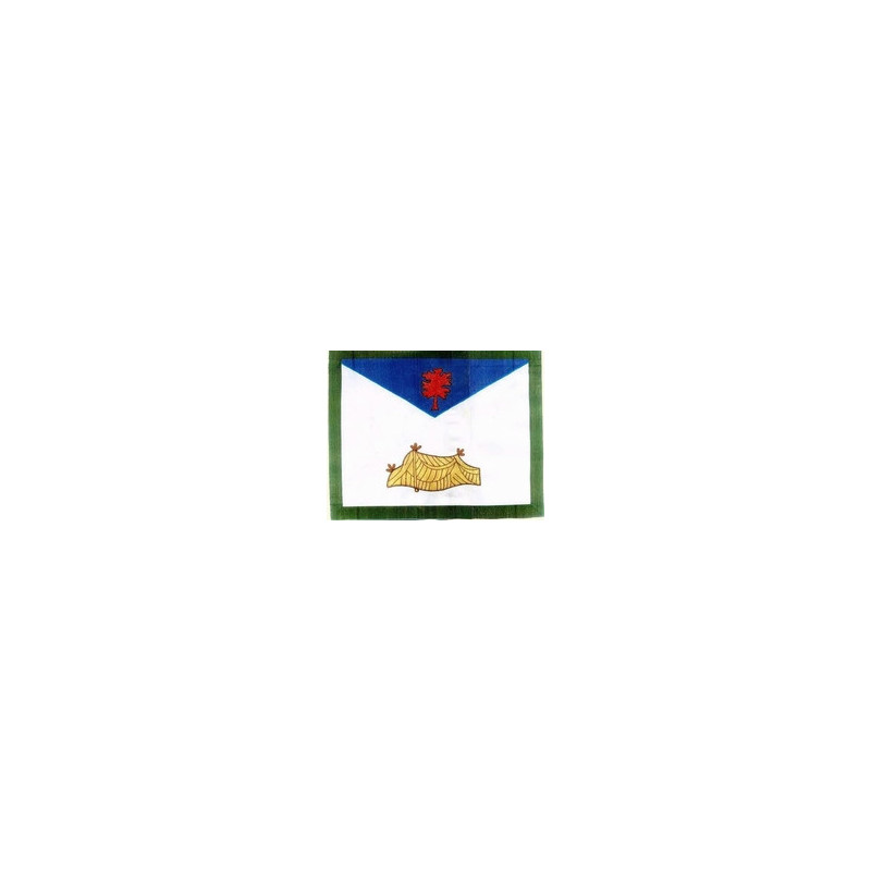Apron AASR 24°