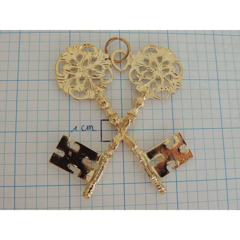 Kraagjuweel penningmeester