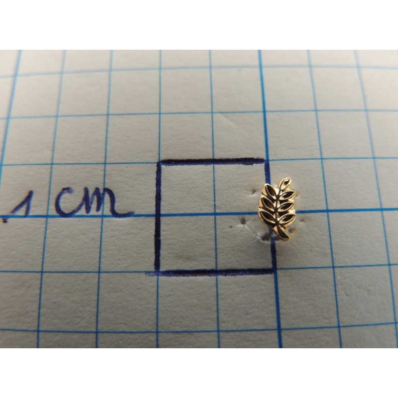 Pin acasiatak klein