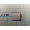 Pin acasiatak klein
